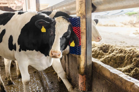 Productos cepillo para vacas semicircular cepillo para ganado azul rojo xl