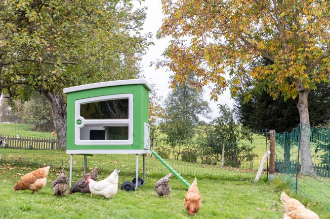 Gallinero de plástico Abi Products mobilecoop