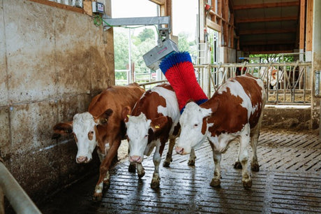 Productos cepillo para vacas happycow maxiswing