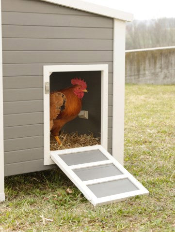 Productos gallinero eco estable plastico barney