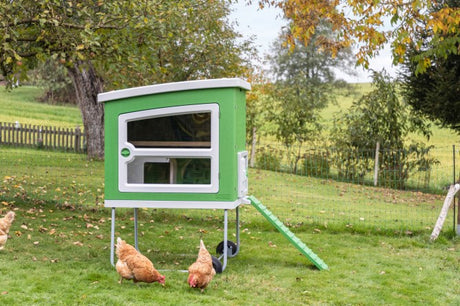 Gallinero de plástico Abi Products mobilecoop