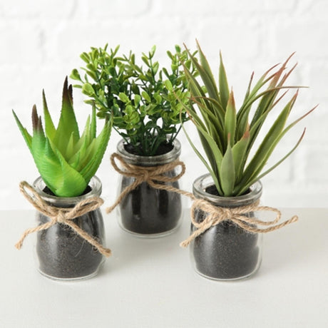Boltze home sukkulente en maceta ã˜10x17cm planta artificial en tarro de cristal