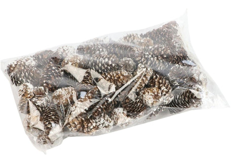 Hbx natural living piña piña mini abeto 180 g en embalaje transparente