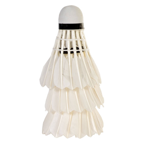 Sportx Shuttle Feathers White in Tube, 3st.