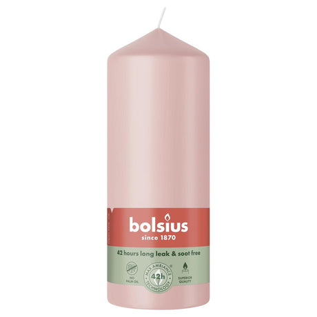 Vela de pilar Bolsius 150 58 rosa brumoso
