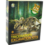 Aro tallando esqueleto de dinosaurio triceratops 23cm