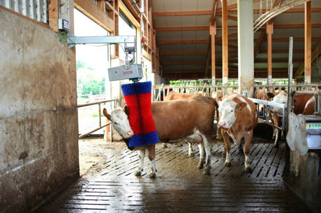 Productos cepillo para vacas happycow maxiswing