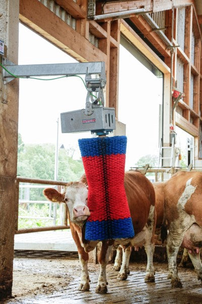 Productos cepillo para vacas happycow maxiswing