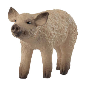 Schleich Farm World - Lechón de lana - 14893