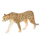 Mojo fauna guepardo macho - 387197