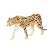 Mojo fauna guepardo macho - 387197