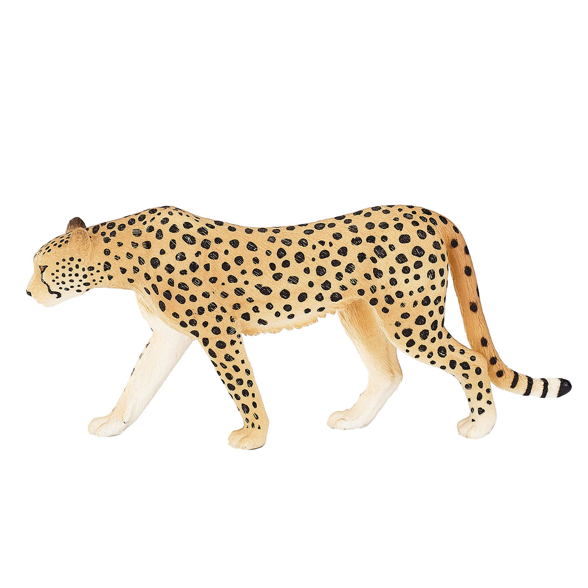 Mojo fauna guepardo macho - 387197