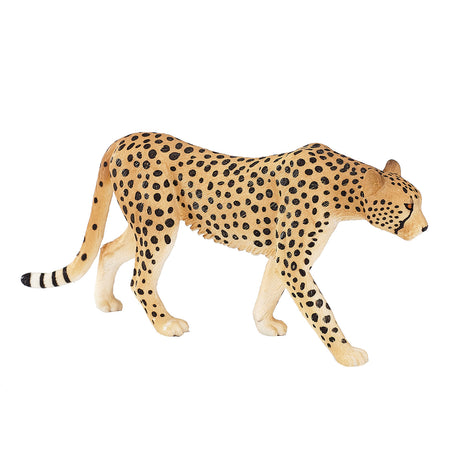 Mojo fauna guepardo macho - 387197