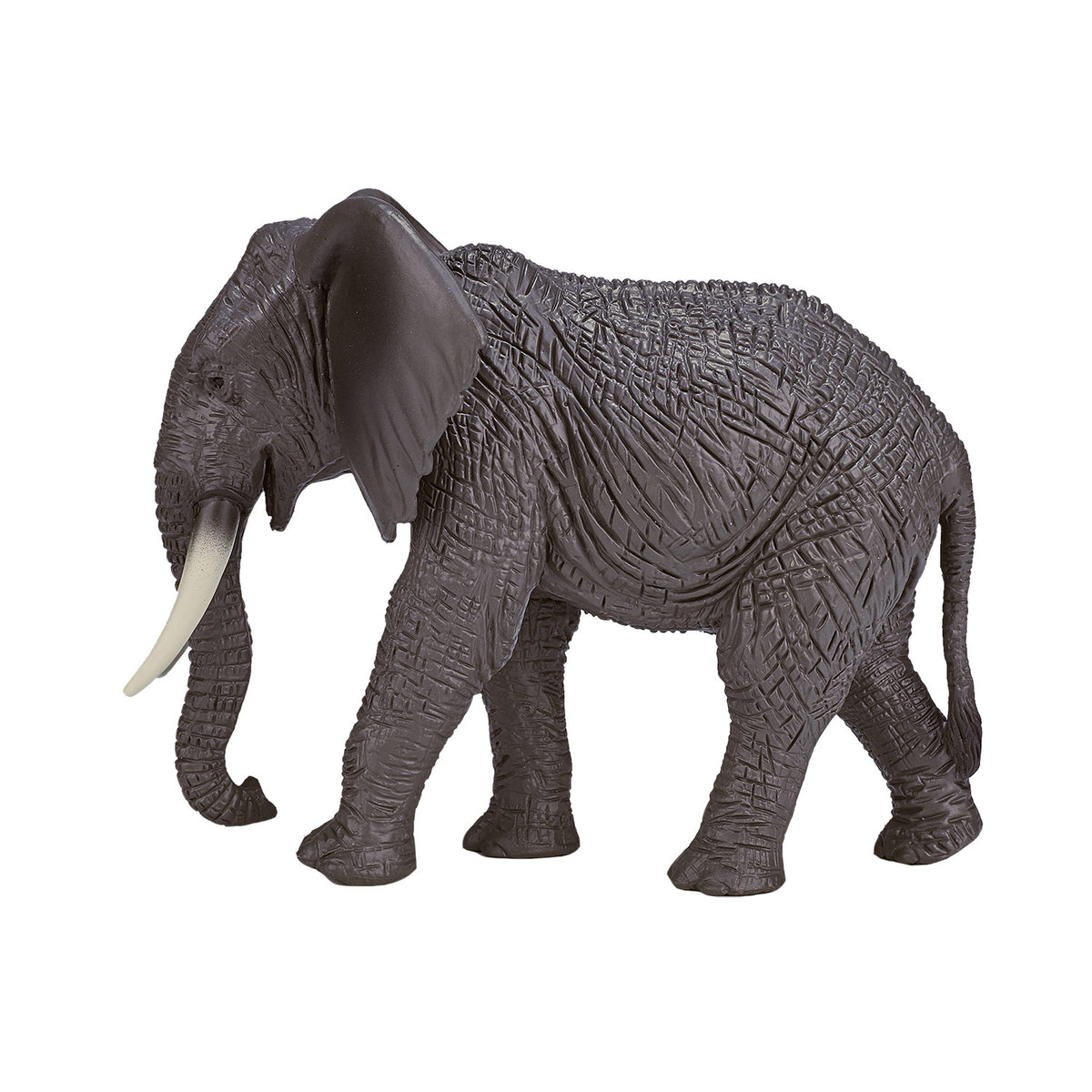 Mojo fauna elefante africano - 387189