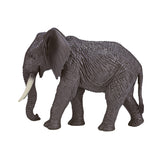 Mojo fauna elefante africano - 387189