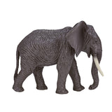 Mojo fauna elefante africano - 387189