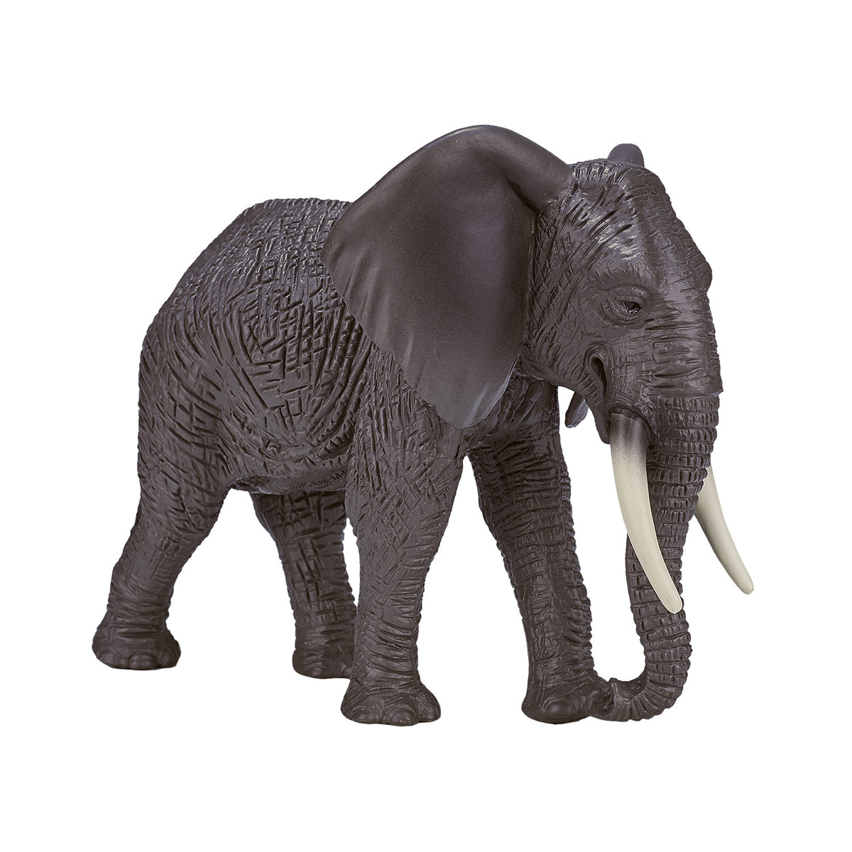 Mojo fauna elefante africano - 387189