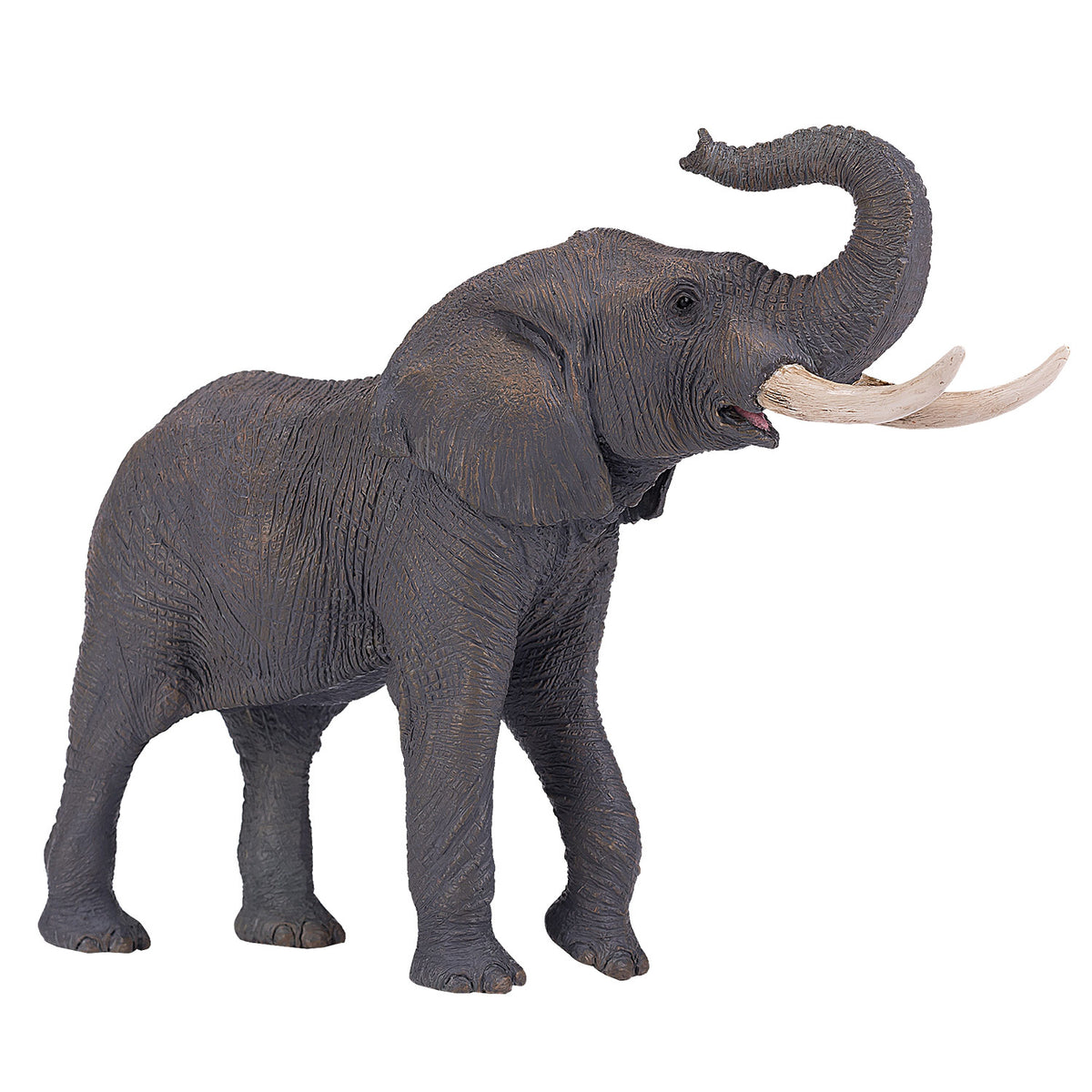 Mojo fauna elefante toro africano - 381005