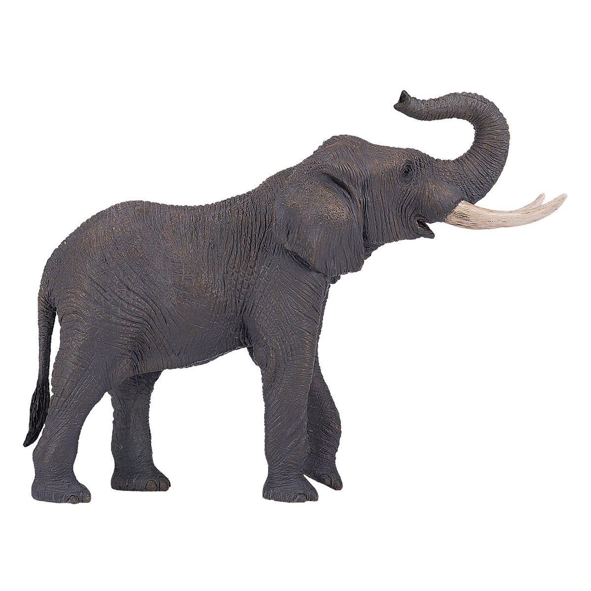 Mojo fauna elefante toro africano - 381005