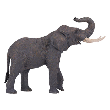 Mojo fauna elefante toro africano - 381005