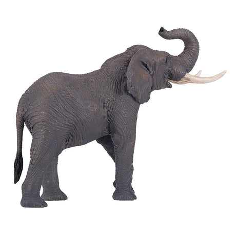 Mojo fauna elefante toro africano - 381005
