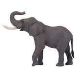 Mojo fauna elefante toro africano - 381005