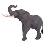 Mojo fauna elefante toro africano - 381005