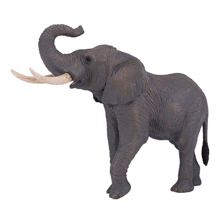 Mojo fauna elefante toro africano - 381005