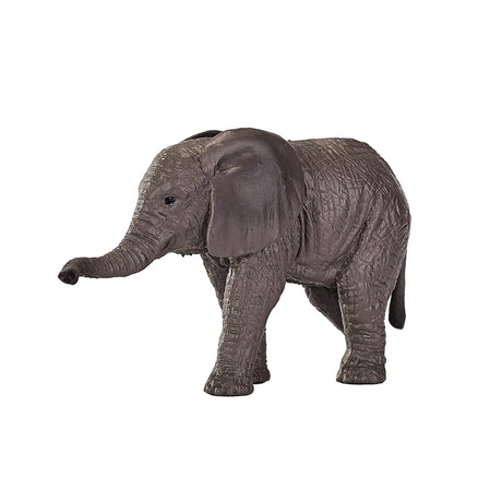 Mojo fauna cría de elefante africano - 387190