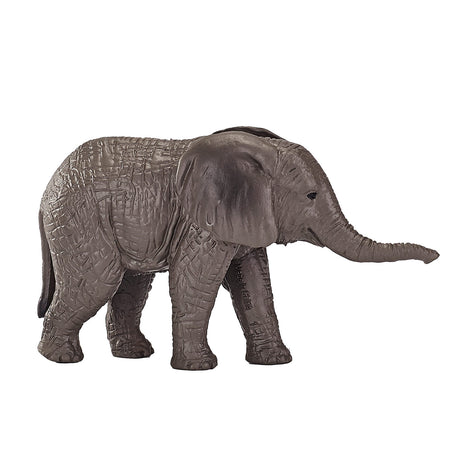 Mojo fauna cría de elefante africano - 387190