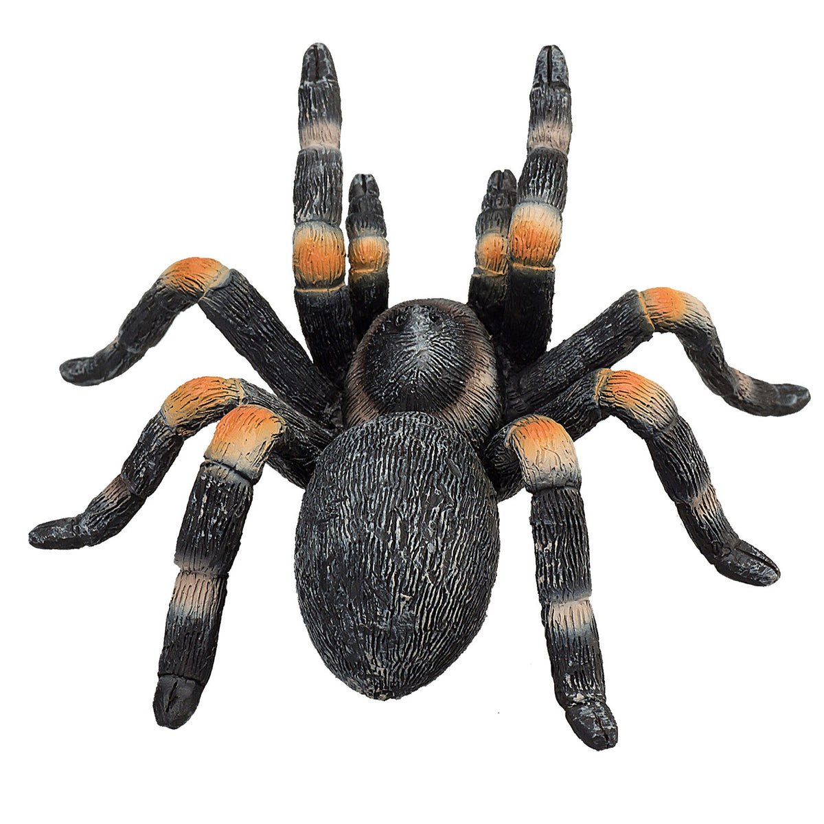 Mojo fauna tarántula roja - 387213