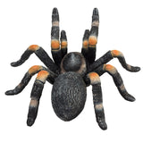 Mojo fauna tarántula roja - 387213