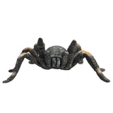 Mojo fauna tarántula roja - 387213
