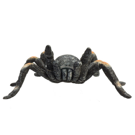 Mojo fauna tarántula roja - 387213