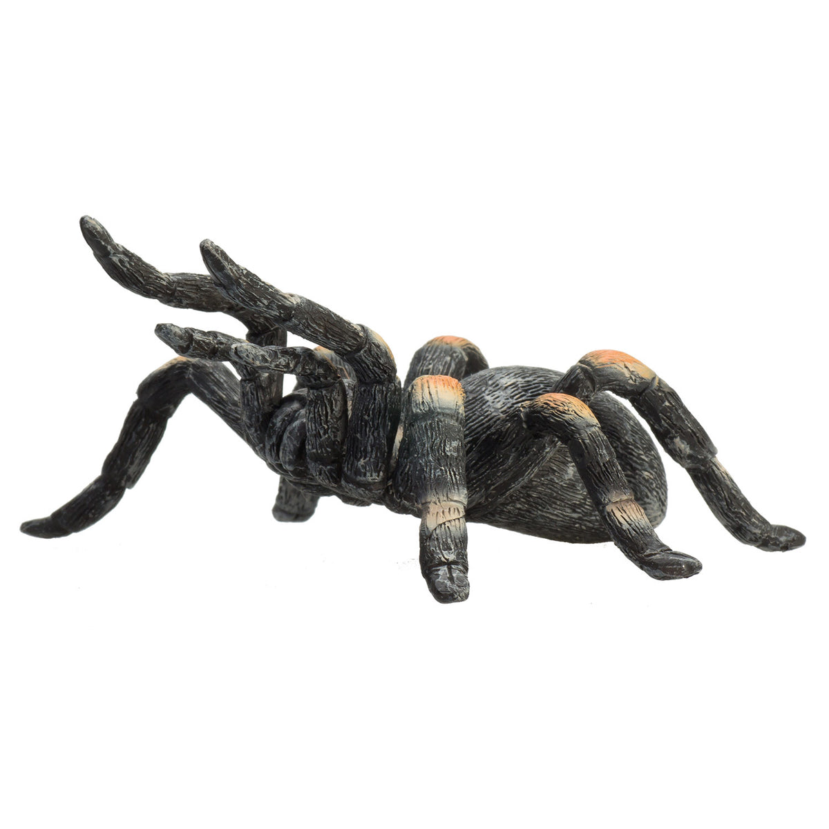Mojo fauna tarántula roja - 387213