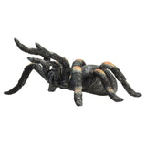 Mojo fauna tarántula roja - 387213