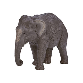 Mojo fauna elefante asiático - 387266