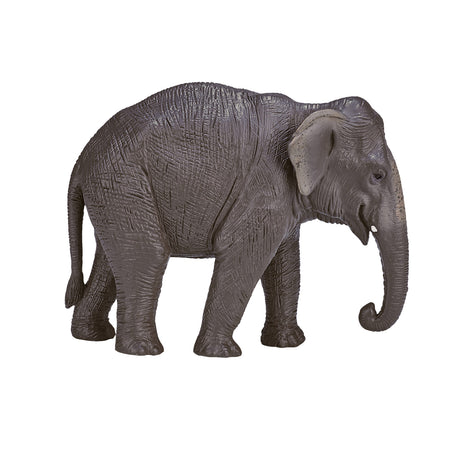 Mojo fauna elefante asiático - 387266