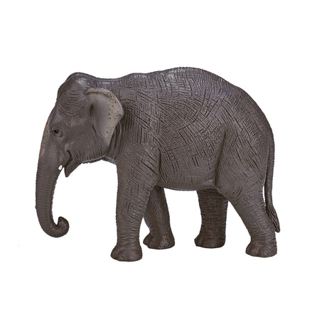 Mojo fauna elefante asiático - 387266