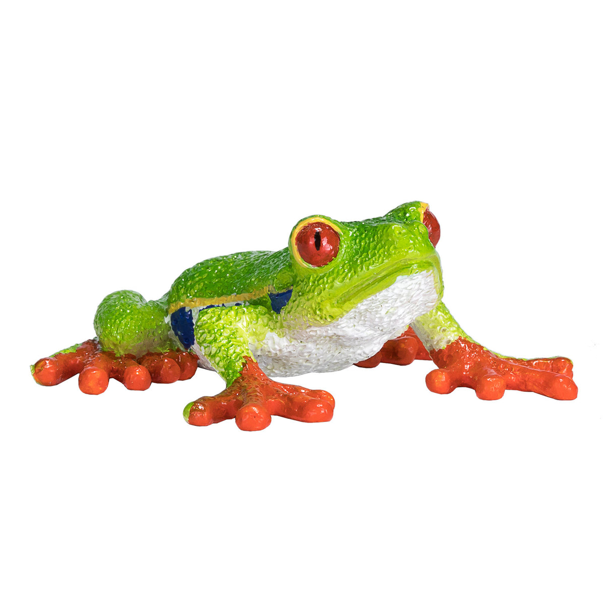 Rana arborícola de ojos rojos Mojo Wildlife - 387299
