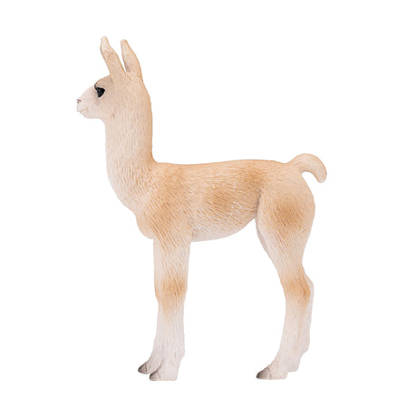 Mojo fauna llama bebé - 387392