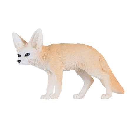 Mojo fauna zorro del desierto - 381055