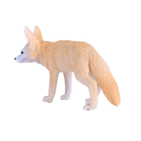 Mojo fauna zorro del desierto - 381055