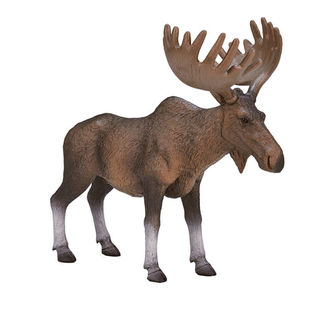 Mojo fauna alce europeo - 387023