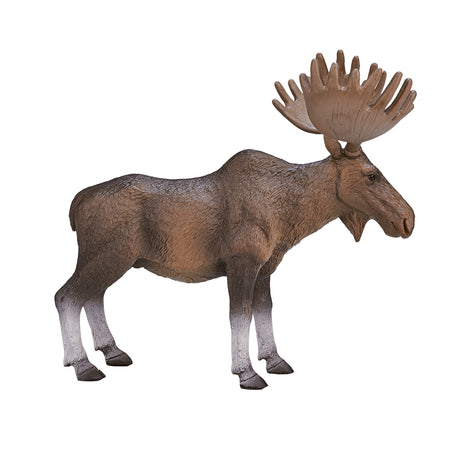 Mojo fauna alce europeo - 387023