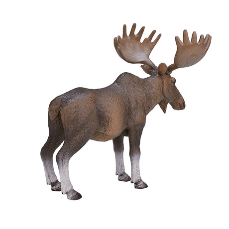 Mojo fauna alce europeo - 387023