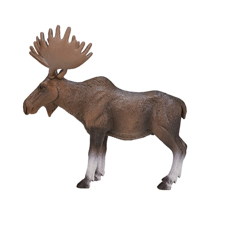 Mojo fauna alce europeo - 387023
