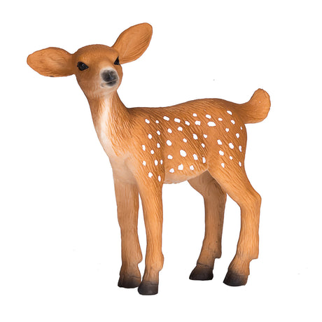 Mojo fauna silvestre cría de venado cola blanca - 387036