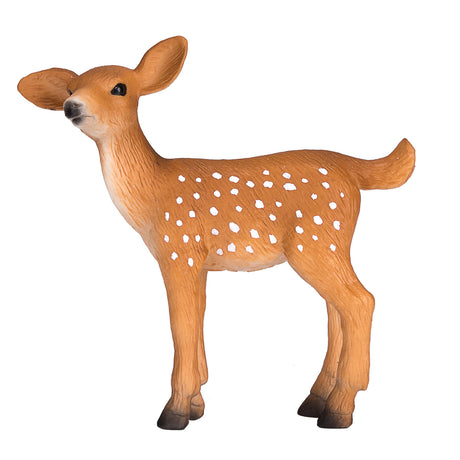 Mojo fauna silvestre cría de venado cola blanca - 387036