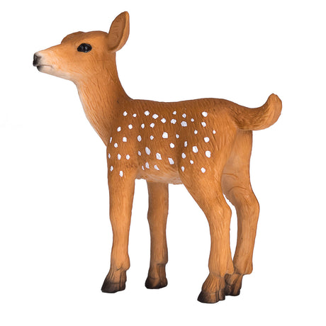 Mojo fauna silvestre cría de venado cola blanca - 387036